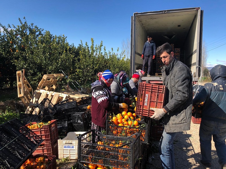 Toros Dağları buz tuttu