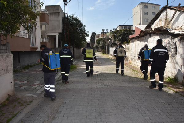 Ceyhan’da larva mücadelesi başladı