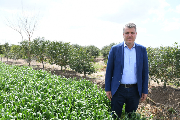 Barut: