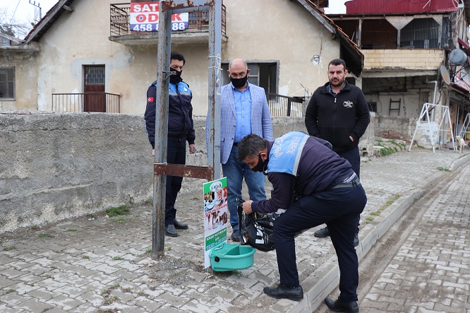 Sokak Hayvanlarına Büyük Duyarlılık