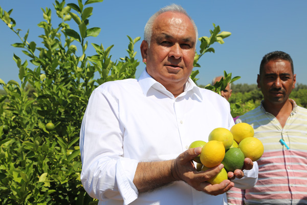 İhracat kapıları bir an önce açılmalı