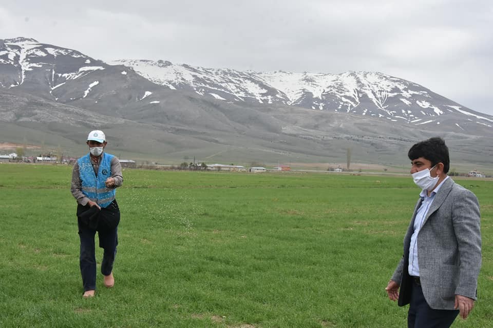 Ergu vatandaşın tarlasını gübreledi