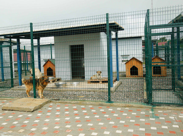 Sokak hayvanlarına modern barınak