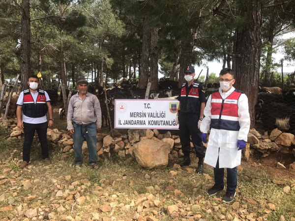 Misafir ettiği komşusunun hayvanlarını çaldı