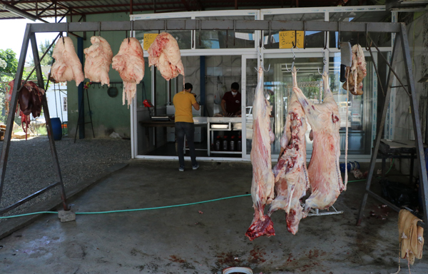 Kasaptan 300 kilo eti dakikalar içinde çaldılar