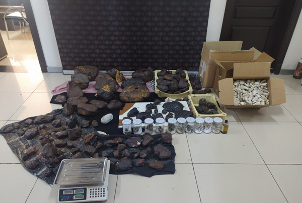 Mersin'de 145 kilo balina kusmuğu ele geçirildi