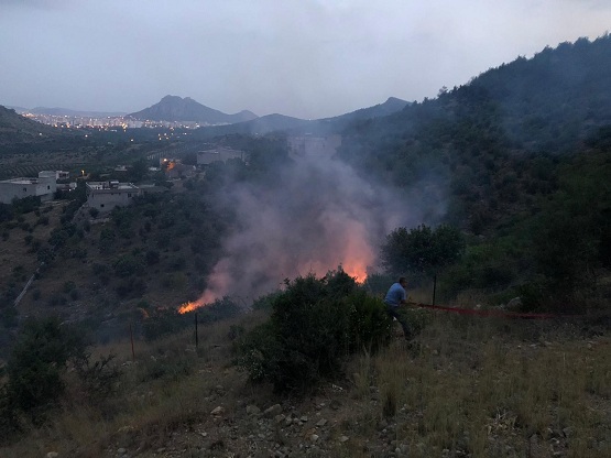 KOZAN'DA ORMAN YANGINI