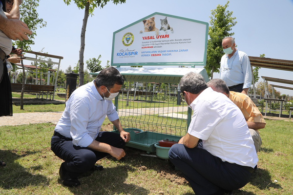 Başkan Kocaispir: