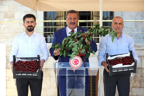 Gürer: “Kiraz 2.5 liraya bile satılamıyor”
