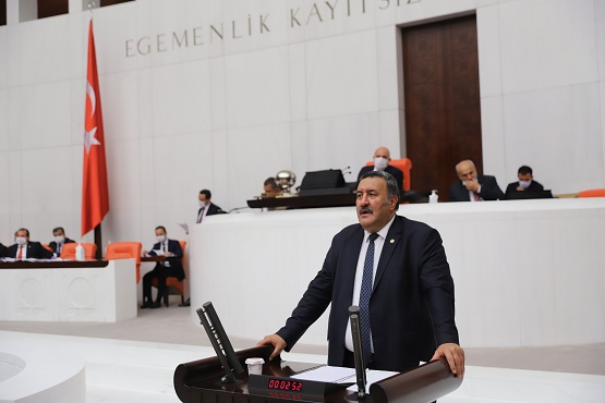 Gürer: “Tek adam rejimi hak ihlalini artırdı”