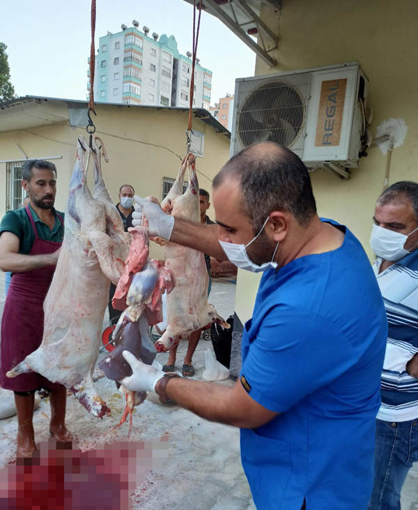 Kozan'da kurban kesim kursu