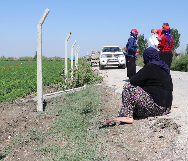 Zübeyde’nin çiftçilik hayalini kabusa çevirdiler
