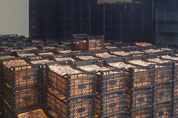 Adana’da 40 ton kaçak et ele geçirildi