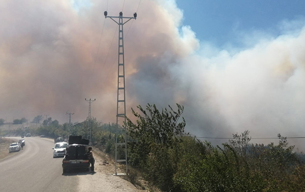 Kozan'da orman yangını; 12 ev yandı, evler boşaltılıyor