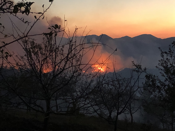 Orman yangınında 3 kişi gözaltında