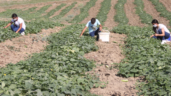 Çalışan çocuk fen lisesini kazandı