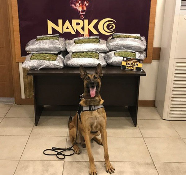 Halının içinden 29 kilo uyuşturucu çıktı