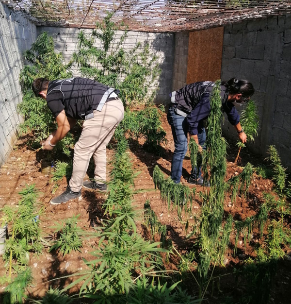 Zanlı çıkarıldığı mahkemece tutuklandı