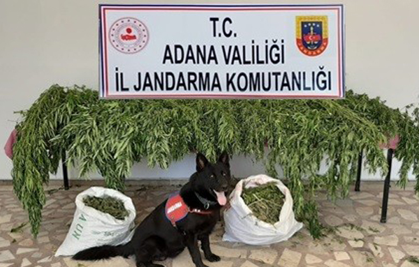 Kozan'da uyuşturucu operasyonu