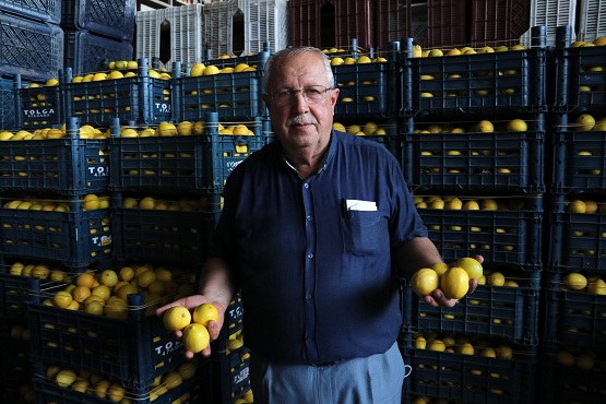 Limon fiyatıyla üreticisini sevindirdi