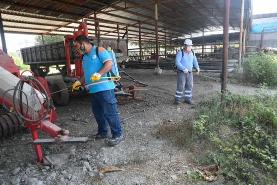 Büyükbaş hayvanları korumak için ilaçlama yapılıyor
