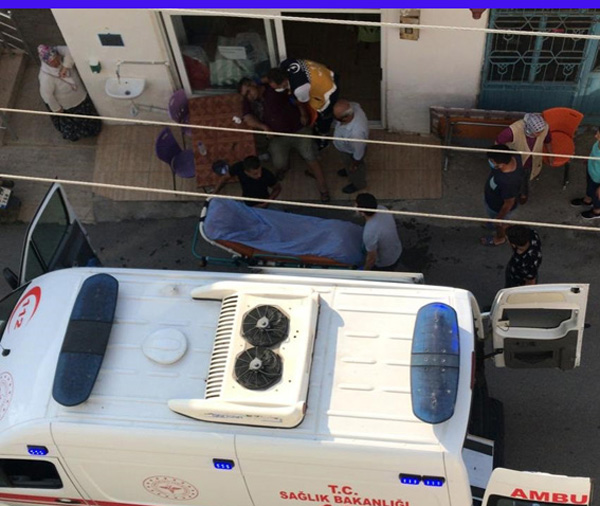 Arının soktuğu şahıs hastanelik oldu