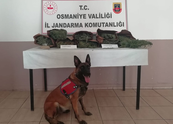 Evinde uyuşturucu imal ederken suçüstü yakalandı