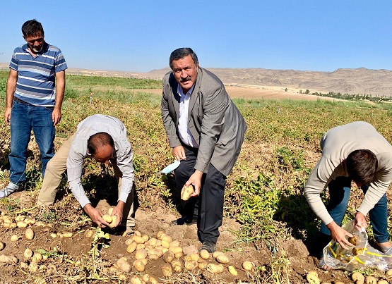 Gürer: “TMO, neden patates alımında yok ?”