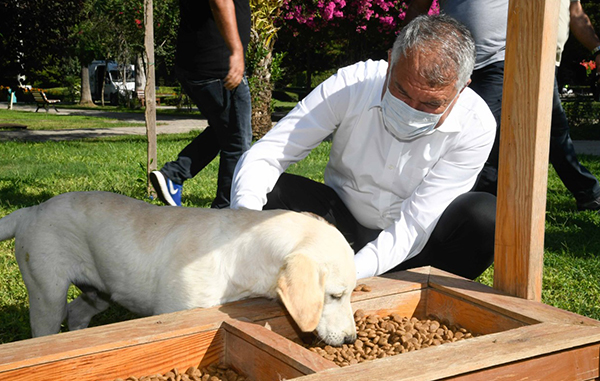 Adana’nın parklarına mamalık ve suluk yerleştirildi
