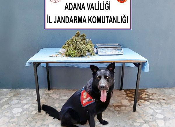 Feke'de uyuşturucu operasyonu