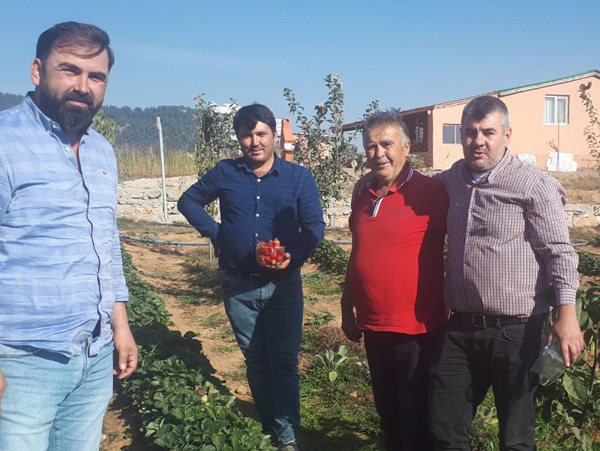 Emekliliğin keyfini çilekle çıkartıyor