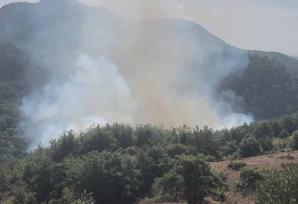 Adana'da orman yangını