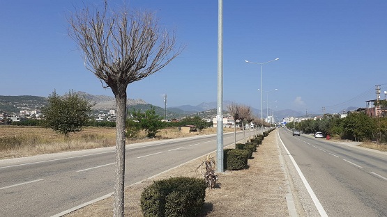 Karayolları ilgisiz kalınca ağaçlar kurudu