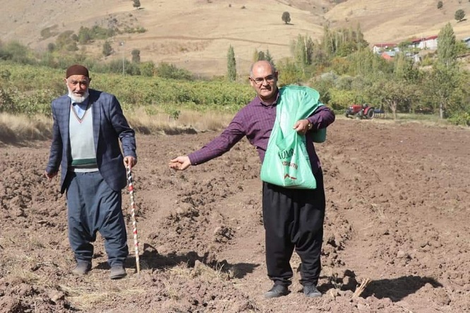 Tarlada buğday eken başkan!