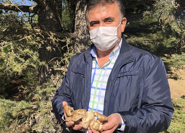 Her yerde onu arıyorlar: Kilosu 100 TL
