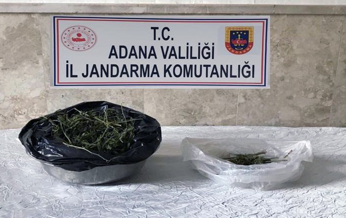 Kubar esrar yakalandı