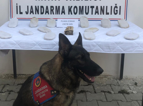 Nar ağacı altına gömülü 3 kilo esrar ele geçirildi