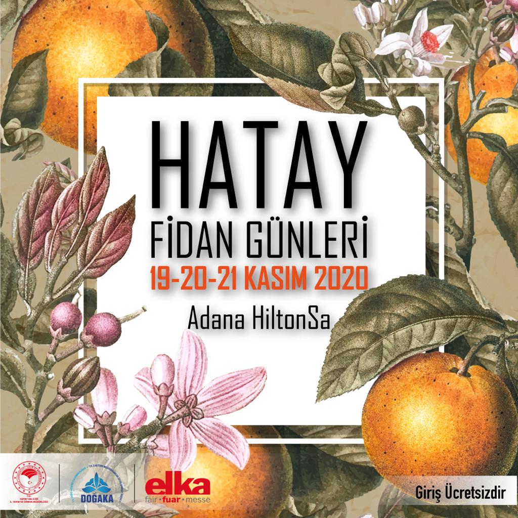 Hatay fidan günler başlıyor