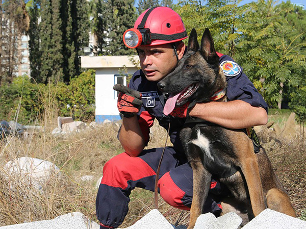 İnsan dostu köpekler zor günler için eğitiliyor