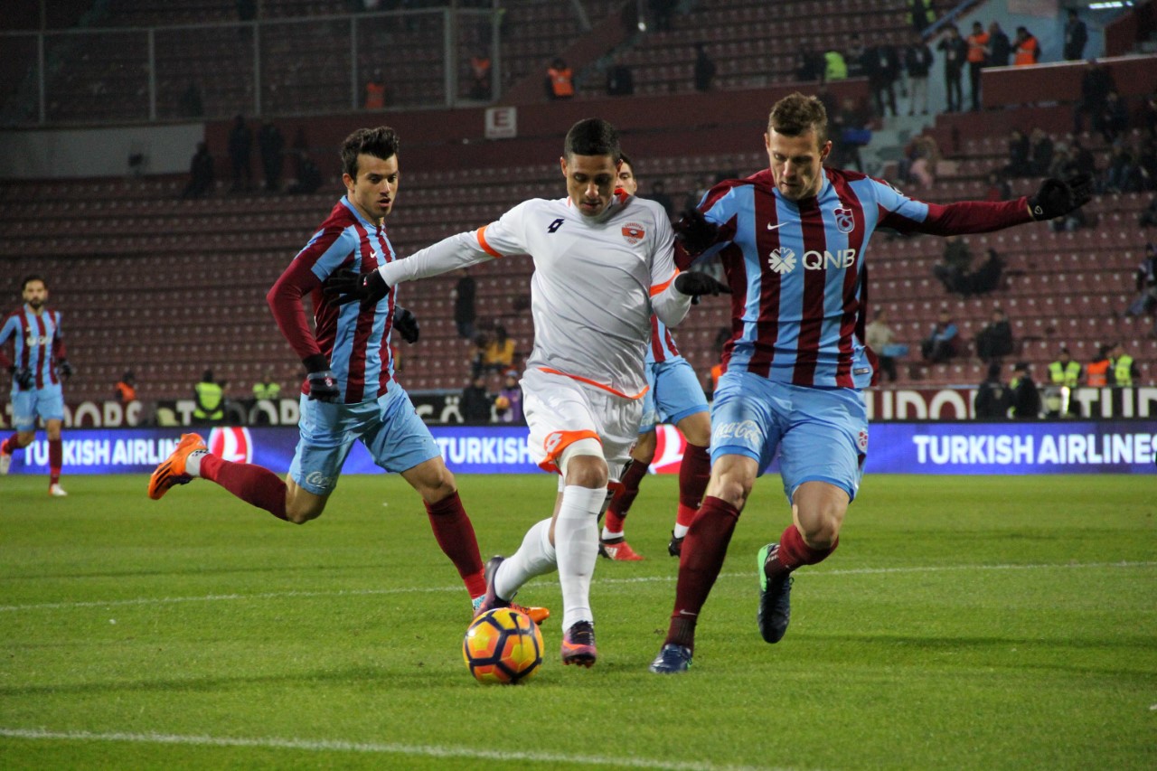Kaplan dağıldı
