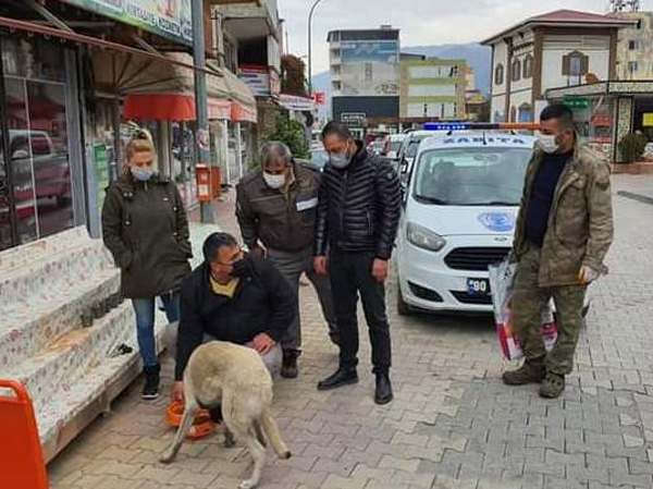 Sokak hayvanları unutulmadı