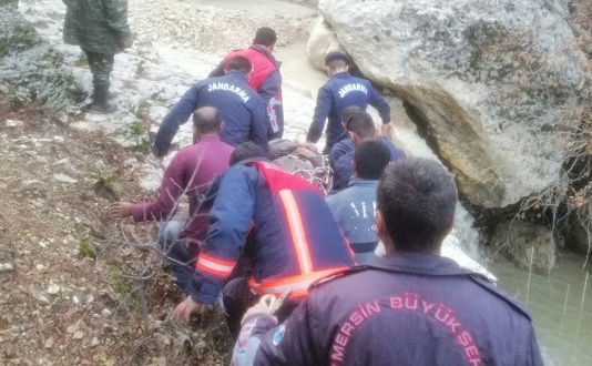 Mantar toplarken düşerek yaralandı