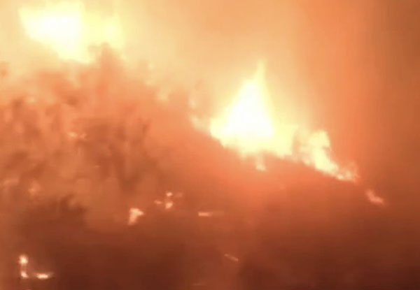 Hatay'da zeytinlik yangını 5 saatte kontrol altına alındı