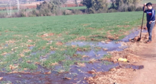 Çiftçiler kuraklık nedeniyle buğday tarlalarını suladı