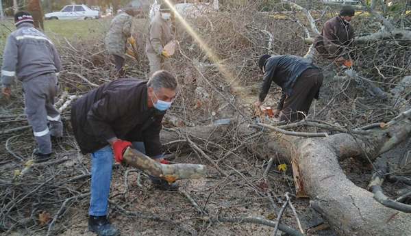 Silifke'de fırtına nedeniyle devrilen ağaç trafiği aksattı