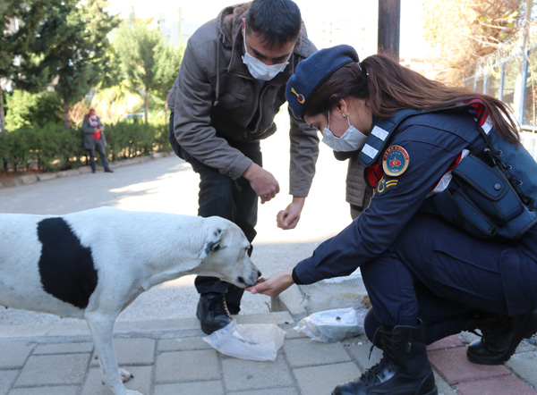 Sokaktaki canlar için mama ve su kapları çoğalıyor