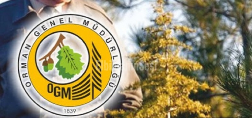 ORMAN YOL AĞI YAPILACAK