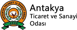 KALKINMA DESTEKLİ YAPIM İŞİ