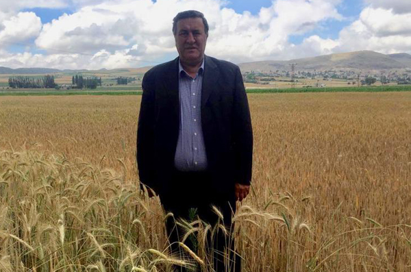 Gürer: “Buğday üretimi artırılmalıdır”