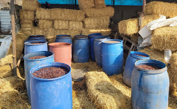 Adana'da 2 bin 600 litre sahte içki ele geçirildi